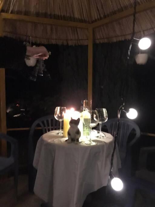 Ferienhaus Summer House - For 2 People In 2nd Floor Velipojë